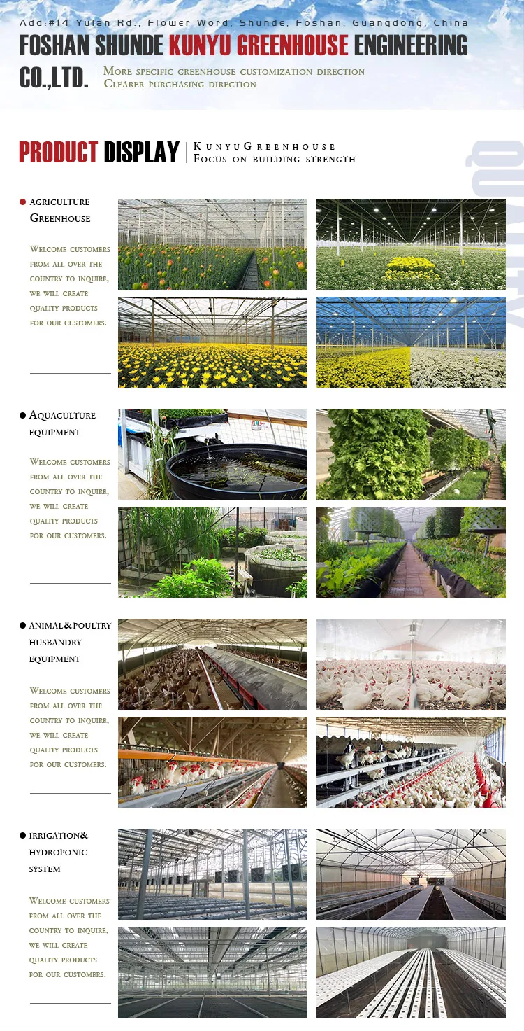 Hydroponic Growing Systems Hydroponics Farming Greenhouse For Sale