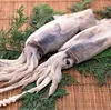 Frozen Whole Squid Price Export Price