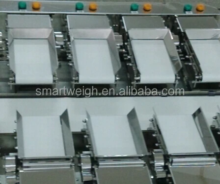 SW-LC10/12 Linear Multihead Weigher Linear Combination Weigher