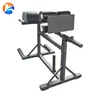 New Design Gym Exercise Equipment GHD Glute Ham Developer