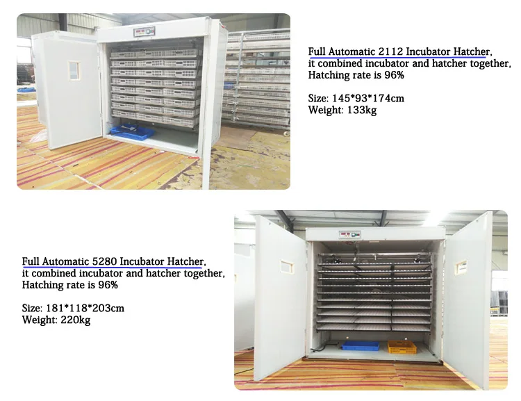 2023 Customized Design 8448 Automatic Incubators Blue limit Switch Egg Incubators