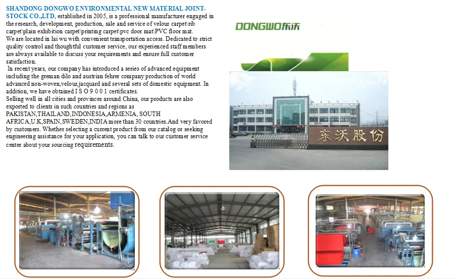 Plastic Clean House Roll Mat Grass Mat In Roll With Pvc Backing Outdoor