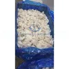 Frozen Squid bits and pieces for sale