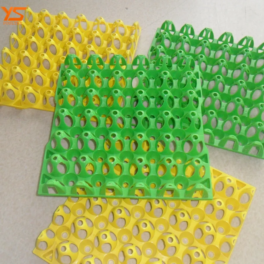 
Wholesale 30 Cells Plastic Eco-Friendly Egg Tray 