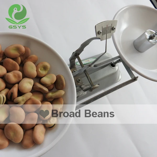 
Chinese broad beans Qinghai Origin english bean 