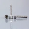 OEM High quality Stainless steel 304 Hexagon socket cheese head self-tapping screws