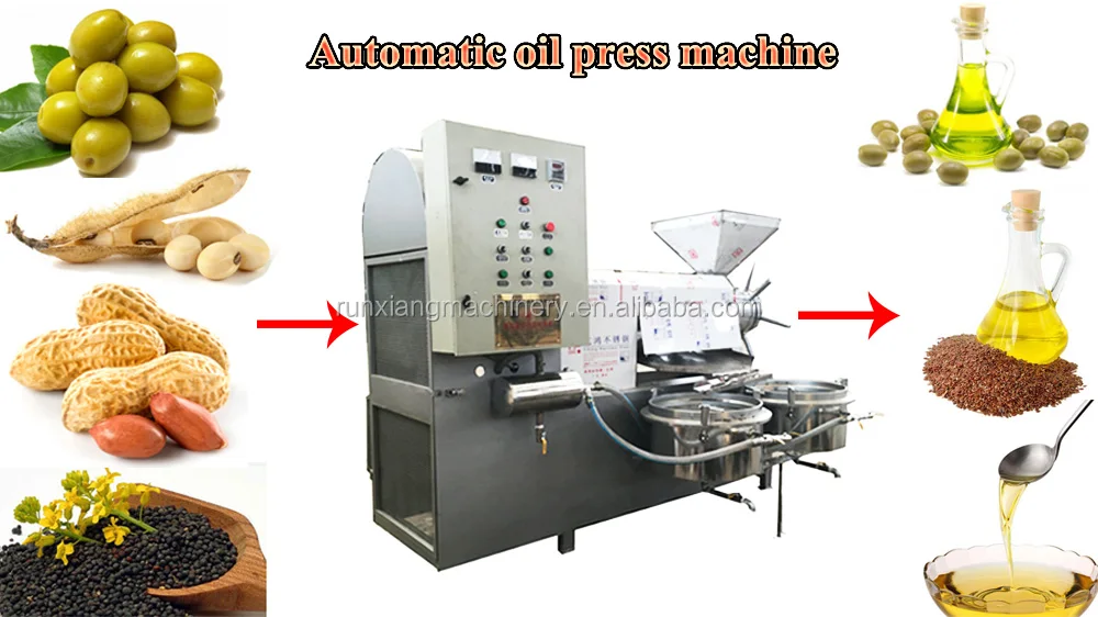 automatic oil press