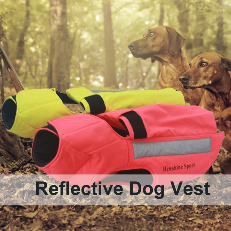 Reflective dog vest.jpg