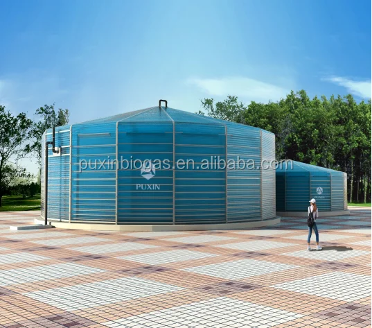 puxin 1000m3 biogas plant