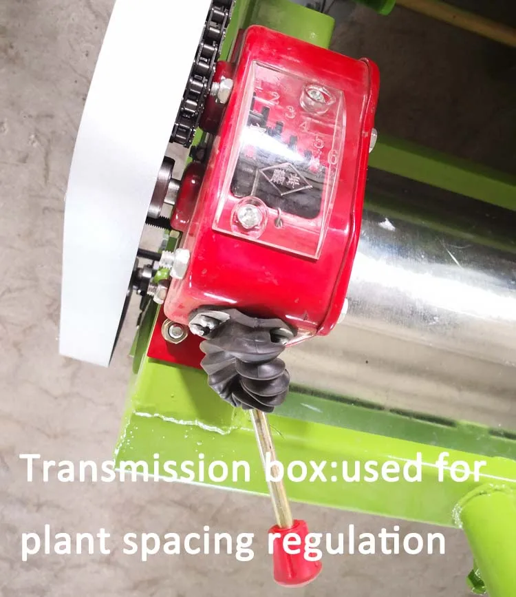 vegetable seeder (69)