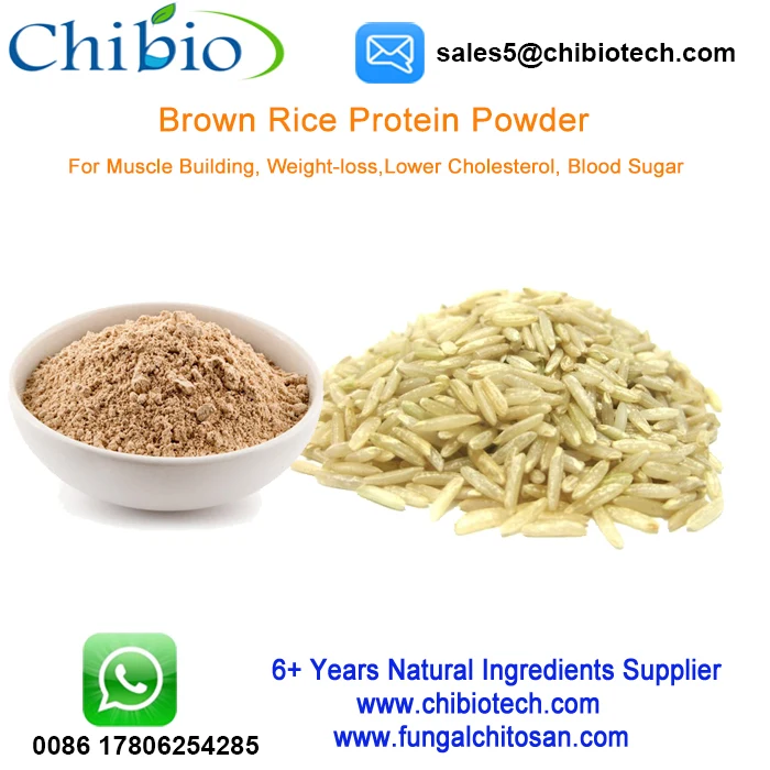 Pure 90 Brown Hydrolyzed Rice Bran Protein Powder Rice Protein Price