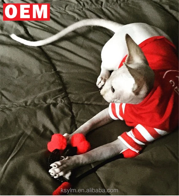 Ylm Custom Design Pet Top Soft Sweater With Sleeves For Sphynx Cat Clothes Fleece Pajamas For Cats Sphynx Hoodies Buy Sphynx Hoodies Fleece Pajamas For Cats Sweater With Sleeves For Sphynx Cat Product