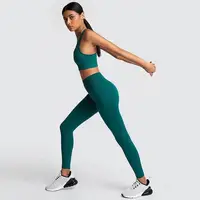 

Women Seamless Bodybuilding Workout Gym Fitness Leggings and Tops Wholesale New Ribbed Sport Cloths Seamless Yoga Set