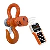 GRAM C6 3 TONS Heavy duty steel enclosure wireless crane scales hook weighing scale 100 meters away via wireless indicator