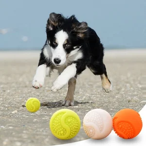 Image of USB Rechargeable Glowing Streak Round Ball for Dog Toy Indestructible Blinking Pet Play LED Dog Ball Toys
