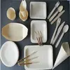 Good Quality Disposable Wooden Tableware