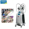 Hot Sell Freeze Fat Beauty Machine Cryolipolysis Machine ETG15-4