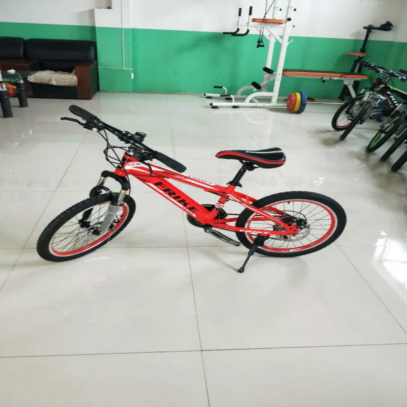 super cheap bike
