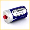 China manufacturer/Shenzhen battery/Shrink wrap/r20 dry battery 1.5v um1