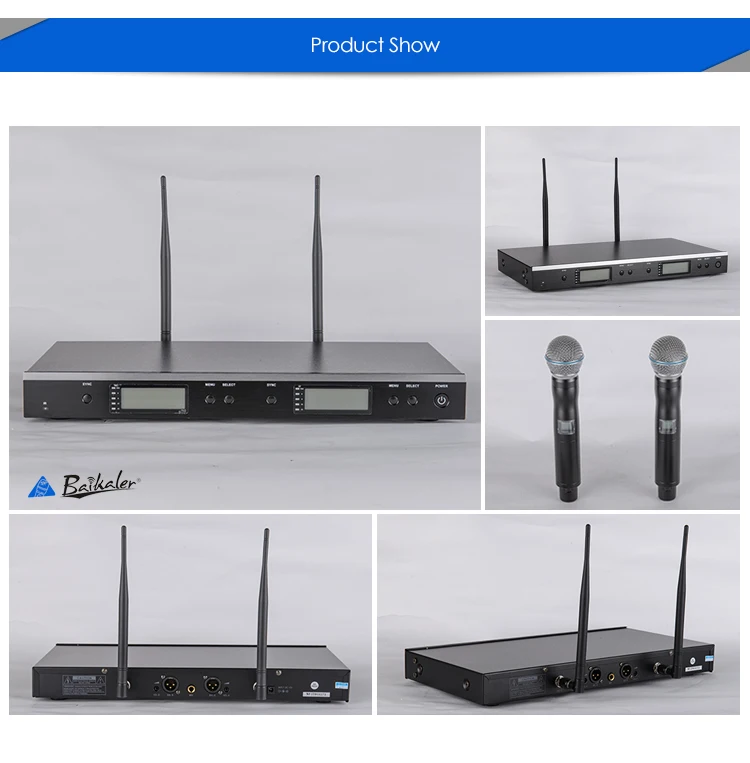 wireless microphone with microphone