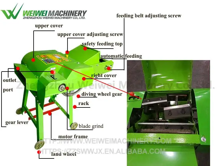 philippine corn silage