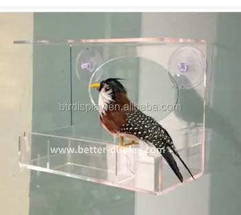 Clear Acrylic Plastic Hanging Bird Water Feeder On Window Glass