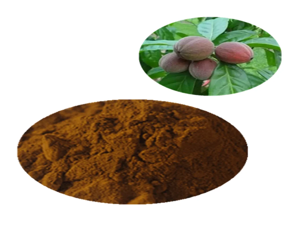 Hot Sale Pure Nature Blushwood Berry Powder Blushwood Berry Extract