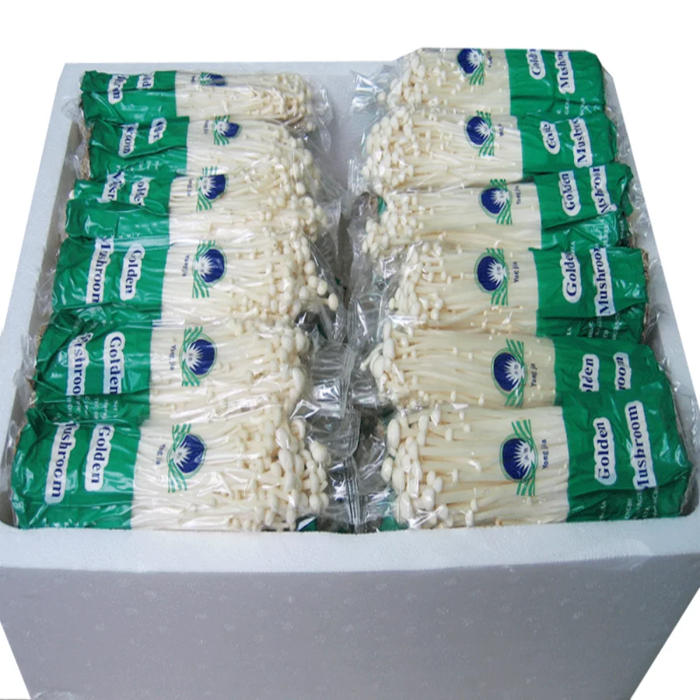 
Chinese farm supple fresh Enoki mushroom 