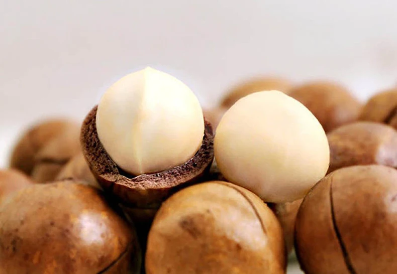 grade aa raw and roasted macadamia nuts