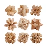 9 Items Package Birthday Party Brain Game Custom 3D Puzzle Brainteaser Wooden Toy With Solutions