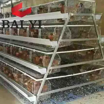 Prix Bon Marché Pour La Cage De Poulet De Couche De Volaillepoulailler Industrielpoulet Couche Cage Prix Buy Prix De Cage De Couche De Poulet De