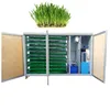 Mung bean sprout machine commercial sprout equipment sprouting seeds
