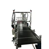 Gosunm top side paging printing Print & Apply Labelling labeling machine system with feeding mechanism