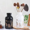 European wind glass reagent vase bottle water culture vase creative dried flower living room decoration glass jars no lids