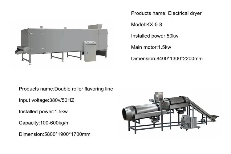 dryer and flavoring line
