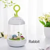 Micro landscape bedroom LED atmosphere music night light