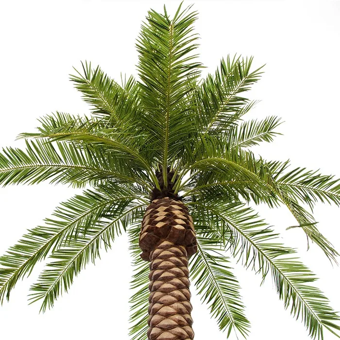 Stdp17 Big Tree Outdoor Artificial Date Palm Tree Date Palm To Russia