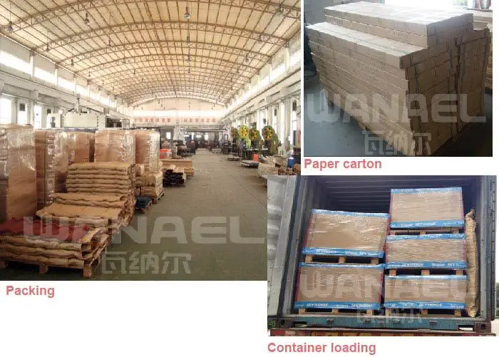 Packing & Loading_chopped