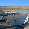 1.0MM fish farm pond liner hdpe geomembrane price