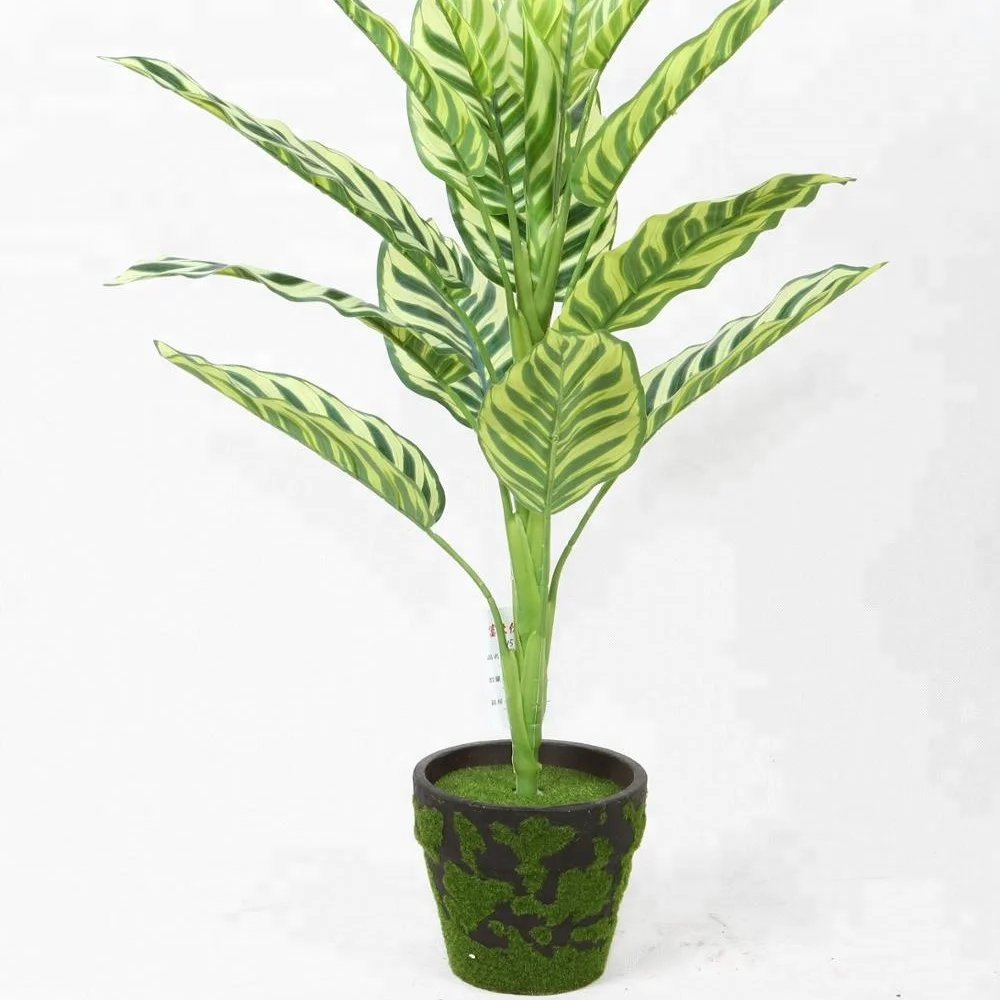 

Yiwu 50 cm high evergreen leaf plant artificial rohdea japonica leaves tree without pot for indoor decor