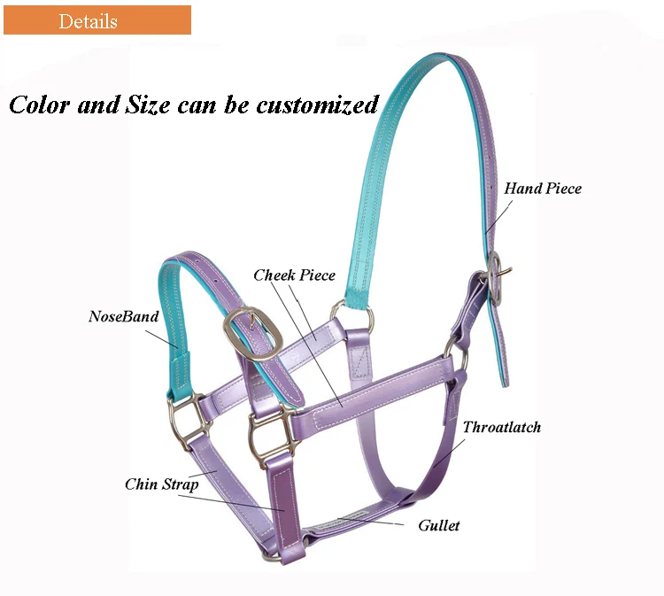  Colorful PVC Horse Halter for Horse Racing