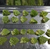 Hot Sale in Europe Japan Supermarket Chain Frozen Romanesco Broccoli