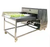 Factory Price Vegetable Root Cutting Machine/celery/lettuce/spinach Root Cutter