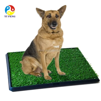 20 30 Pet Dog Training Mat Pet Zoom Dog Product Indoor Buy Pet