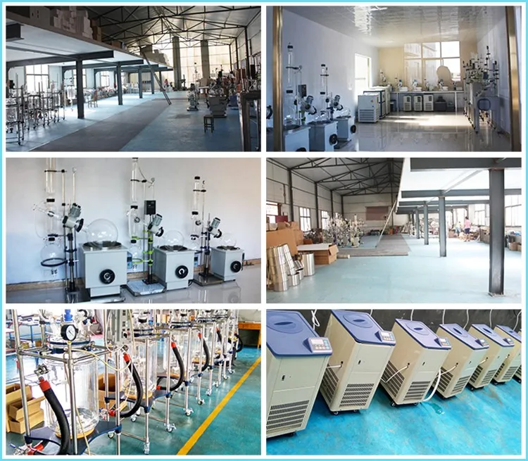 Glass Alembic Distillation Column Extractor