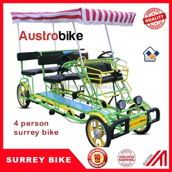 electric surrey bike