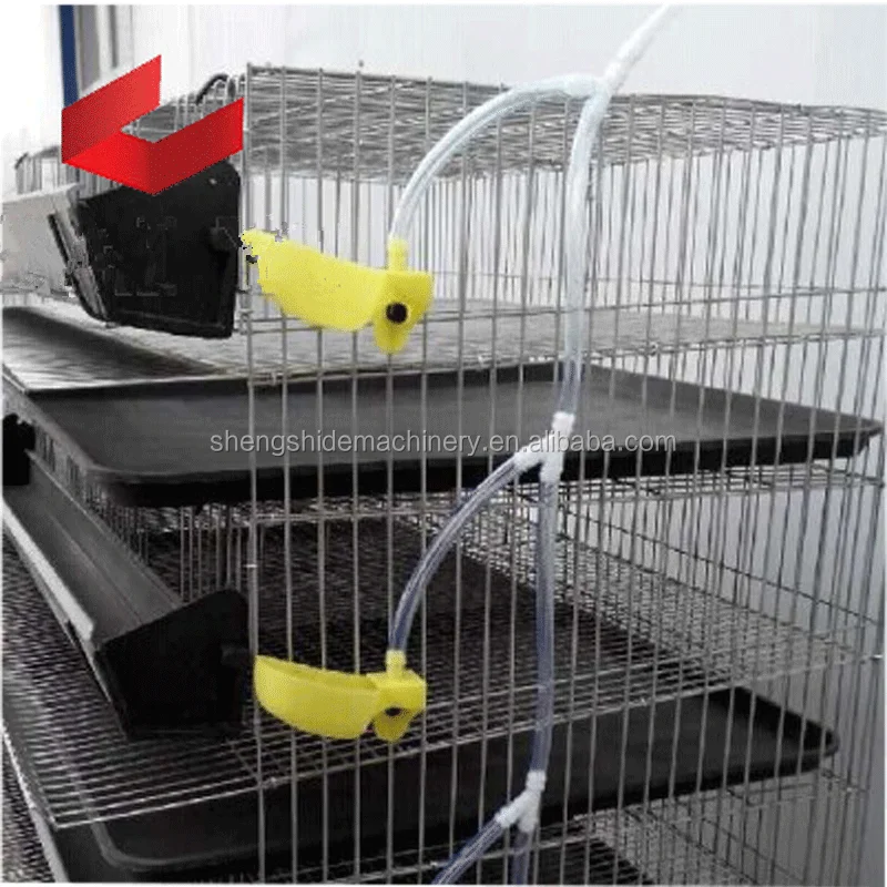 
Layer Quail Cages For South Africa,Plastic Quail Cage Farming Equipment 