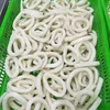 Frozen equatorial squid ring