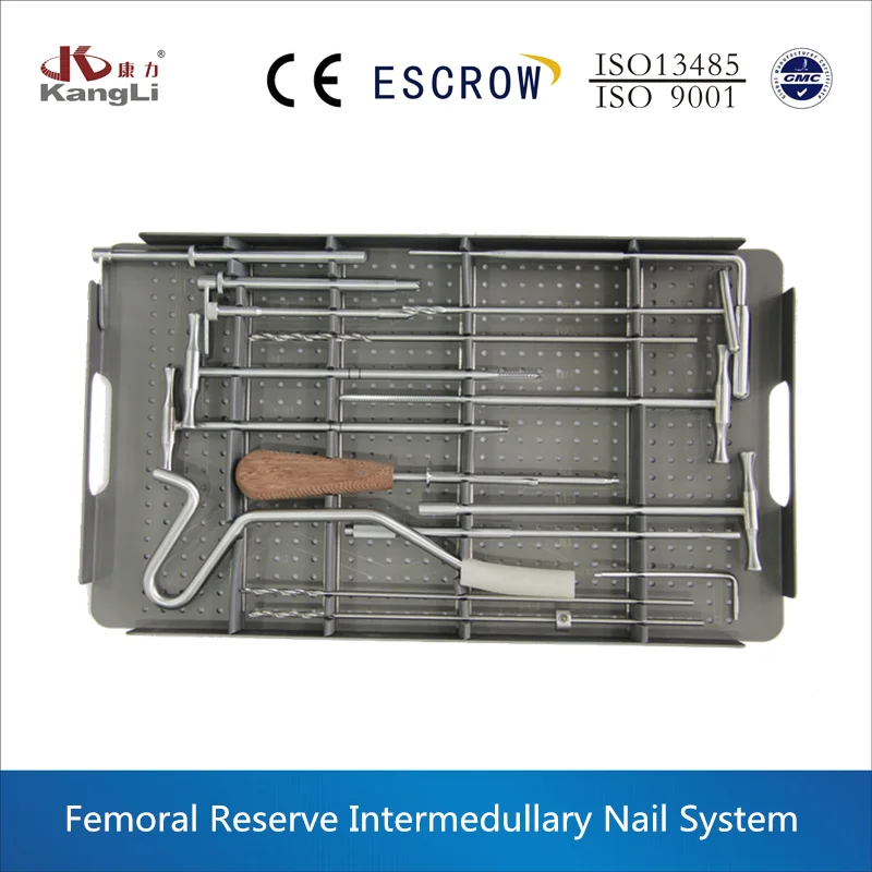 Femoral Reserve Intermedullary Nail System.png