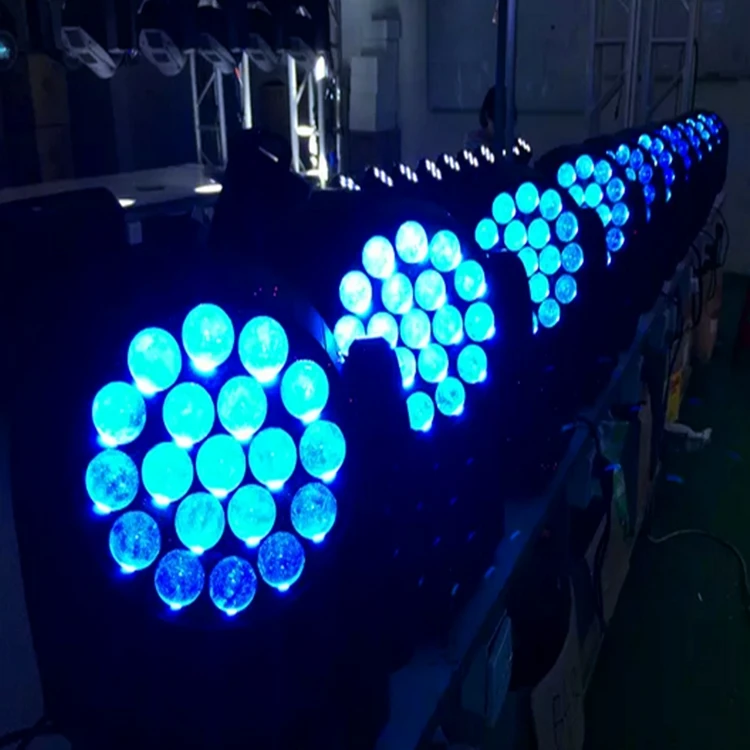 19x12W Bee Eye7.jpg